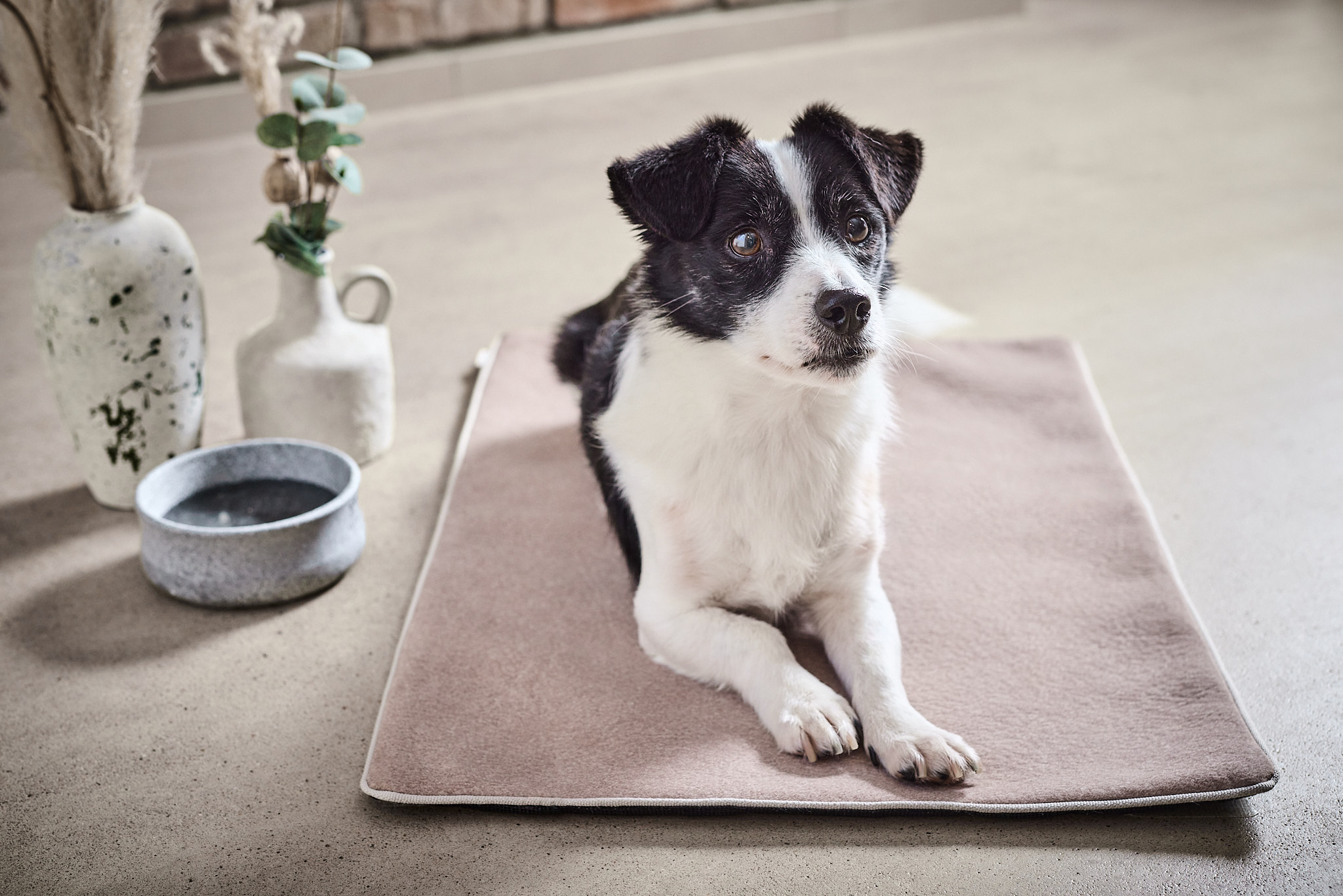 Decke BUFFALO - Creme