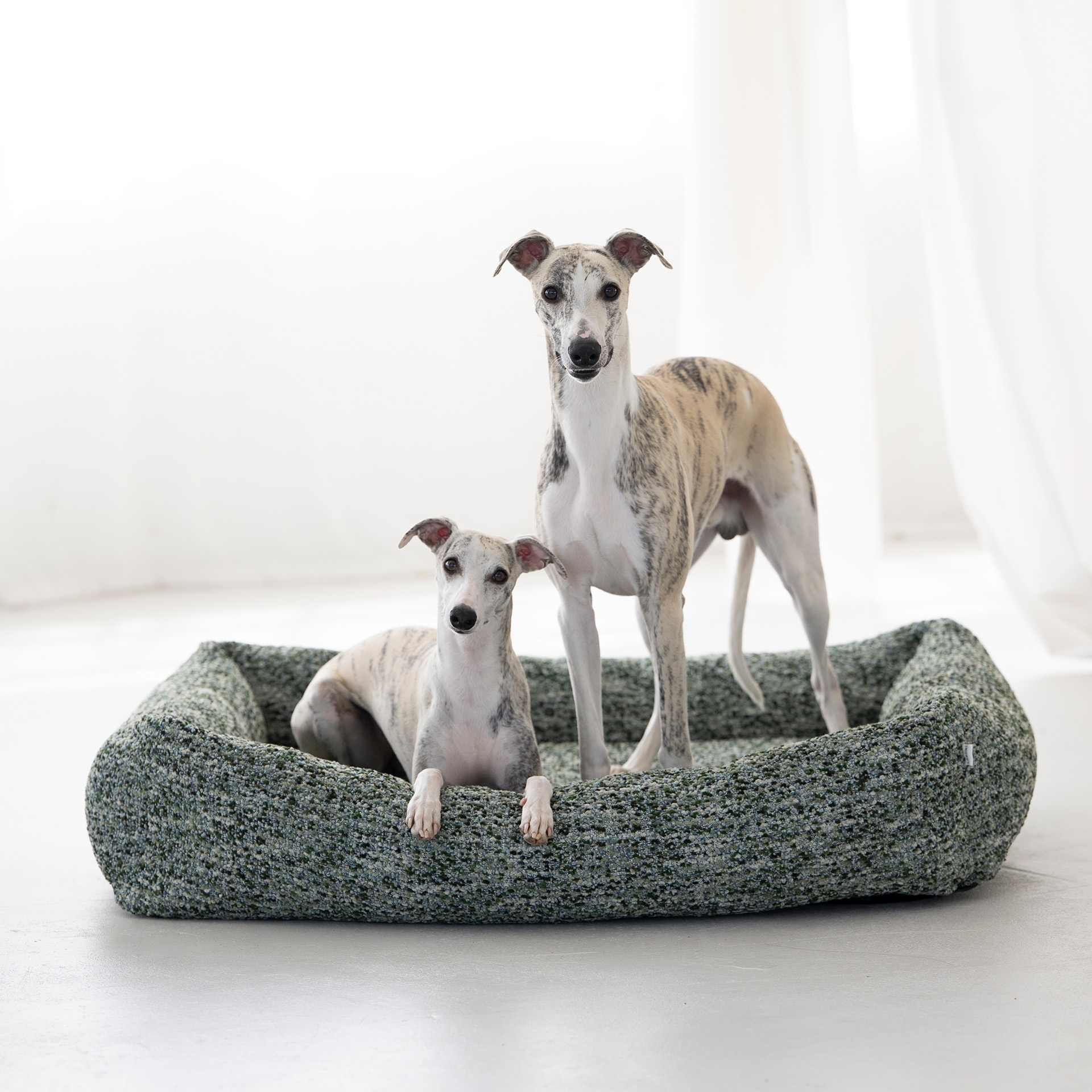 ORTHO Hundebett Siena - Elba