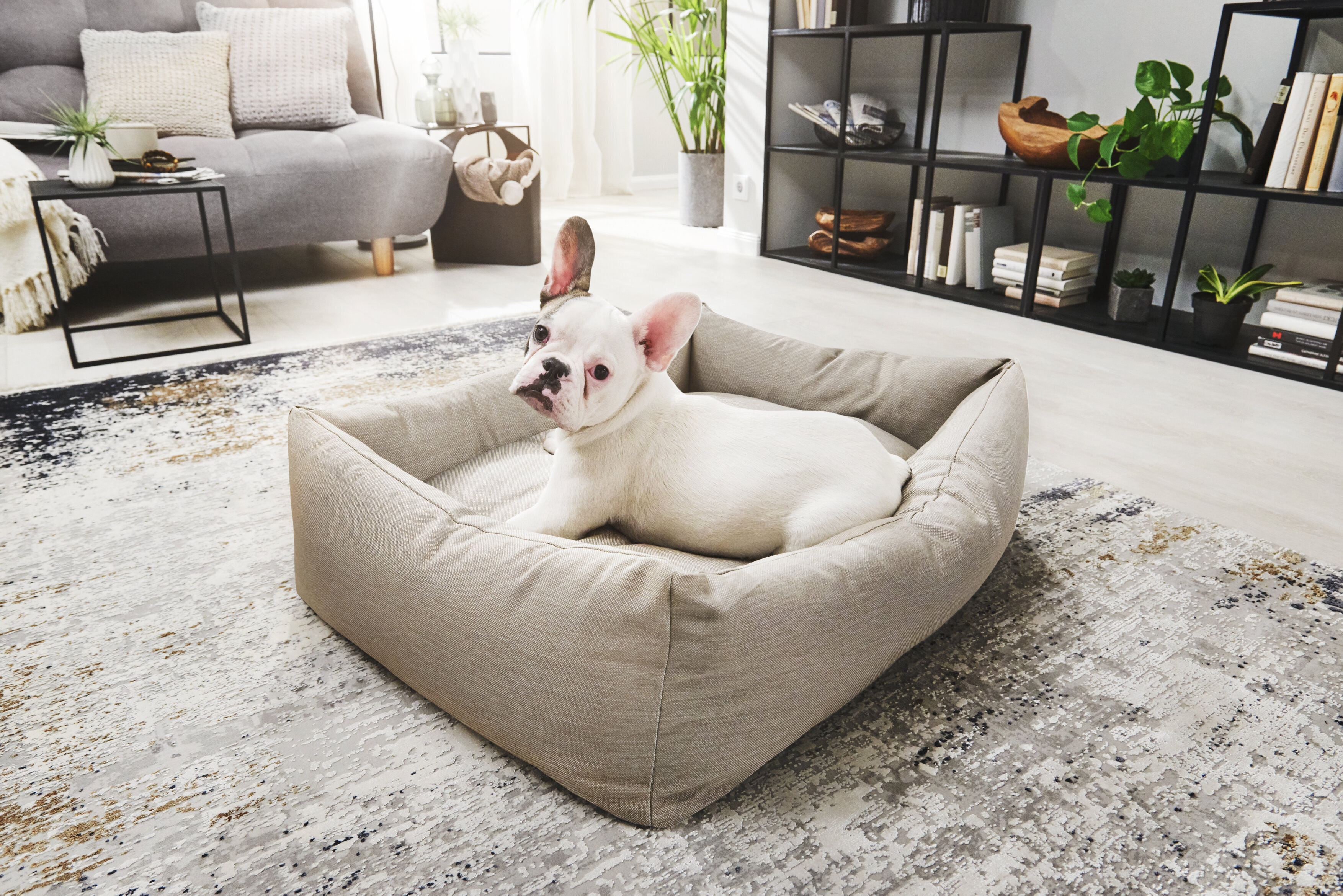 ORTHO Hundebett SMOOTH - Lino