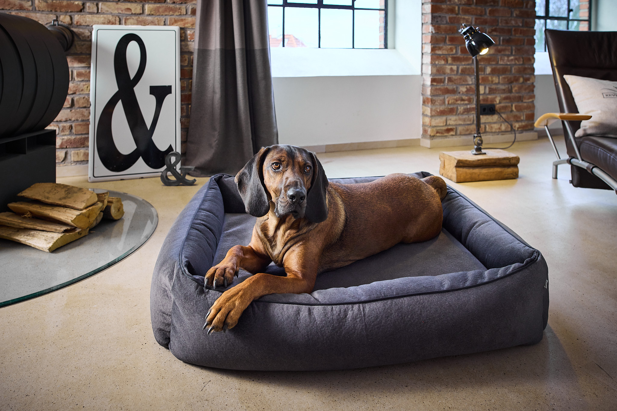 ORTHO Hundebett BUFFALO - Graphite