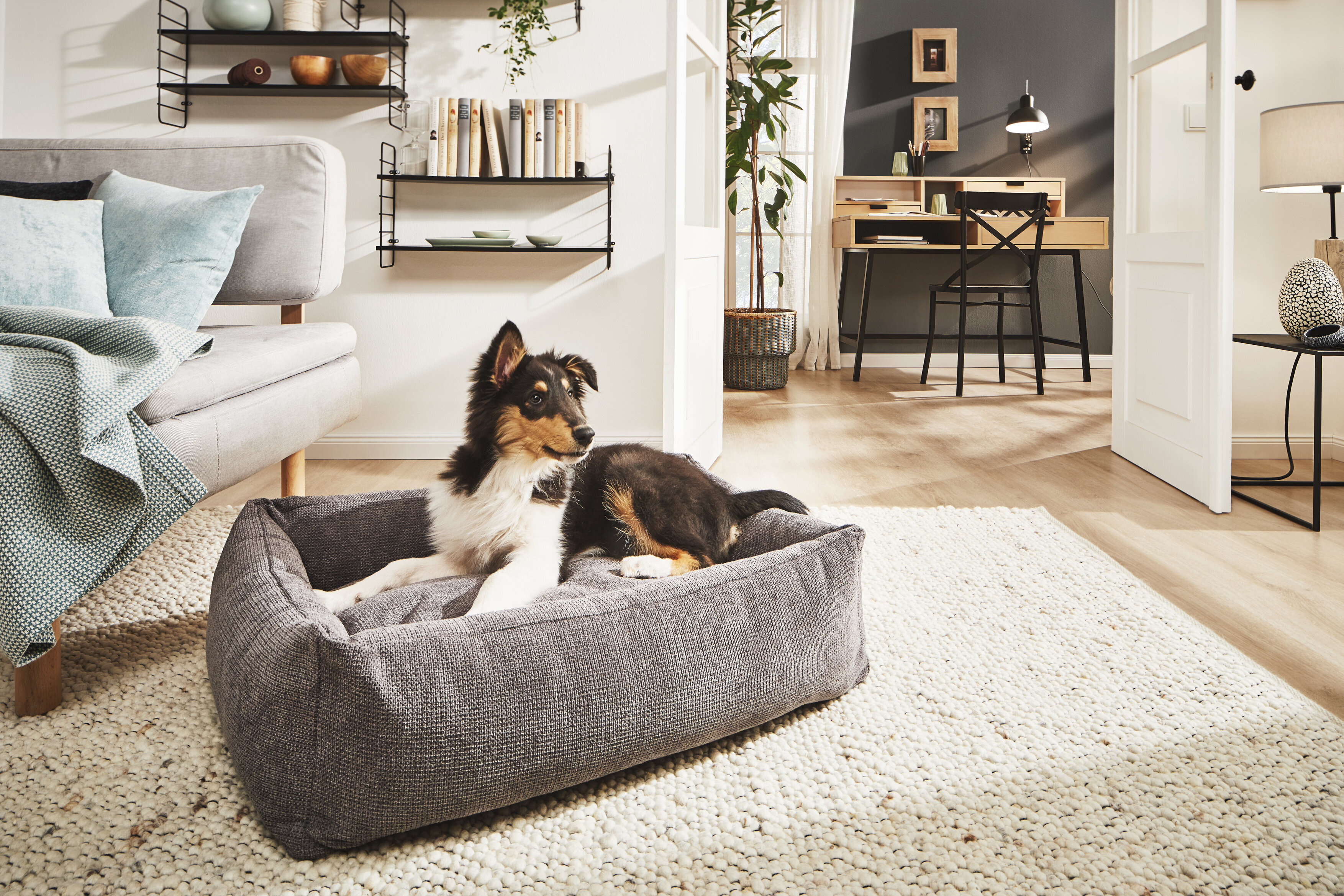 CLASSIC Hundebett TUDOR - Anthrazit