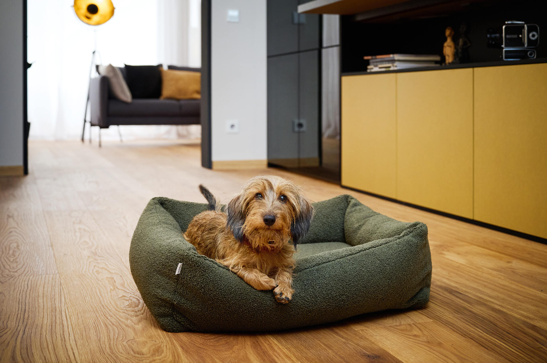 ORTHO Hundebett TEDDY - Green