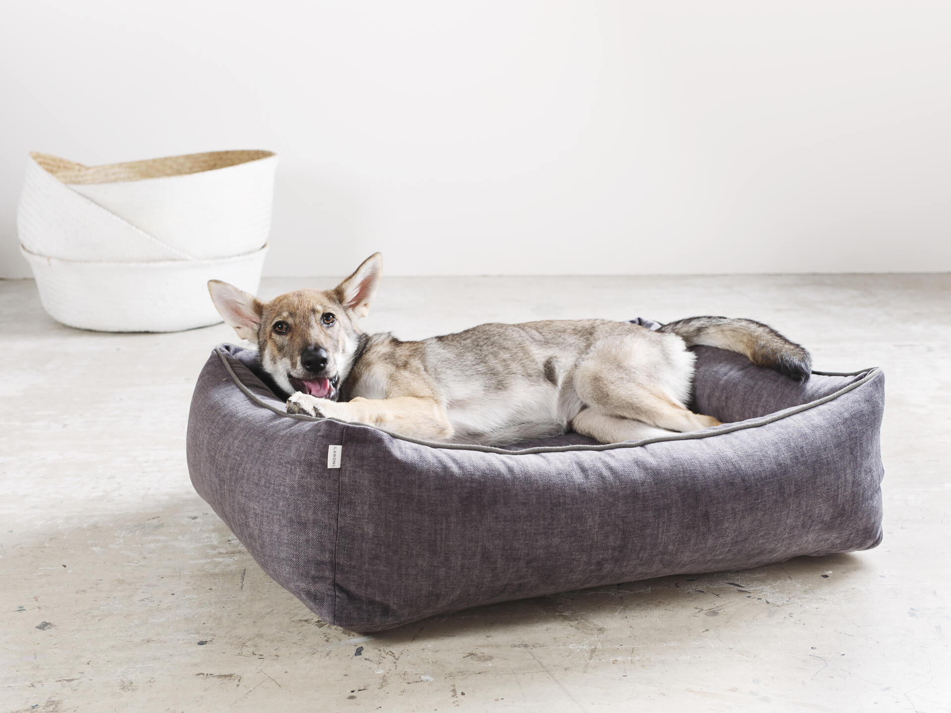 CLASSIC Hundebett GLAM - Graphite