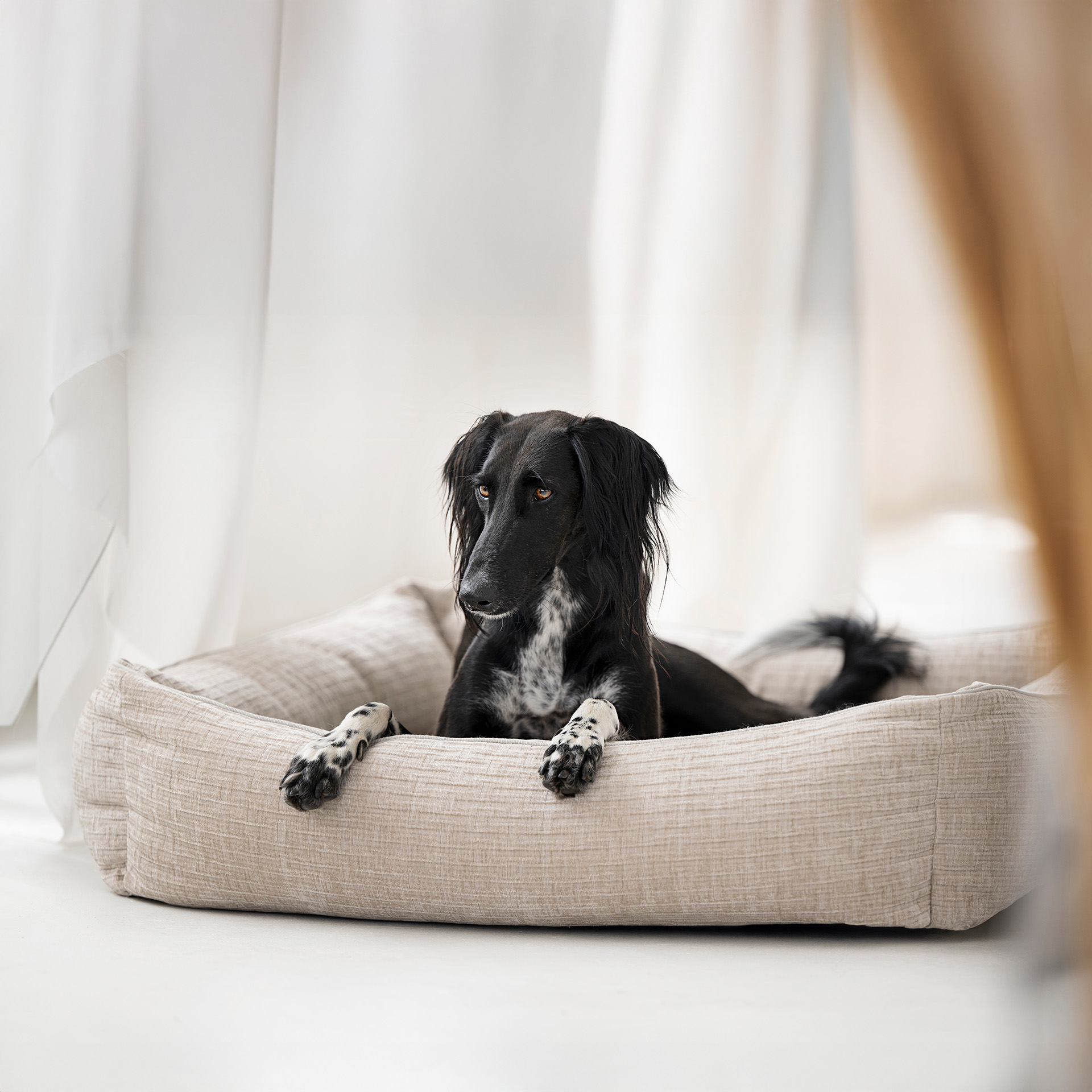 CLASSIC Hundebett NOVA - Creme