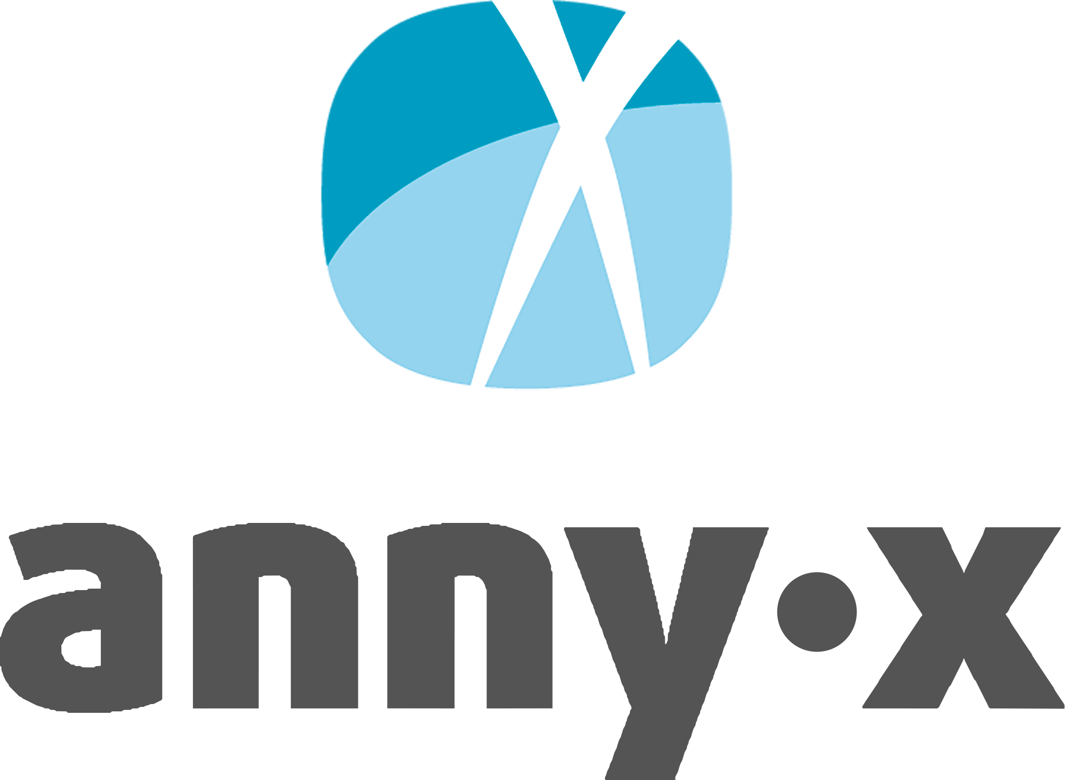 annyx logo 2
