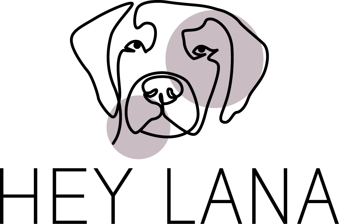 hey lana logo
